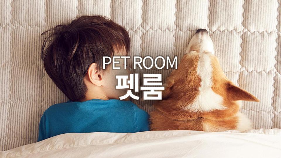 Pyeongchang The White Hotel エクステリア 写真