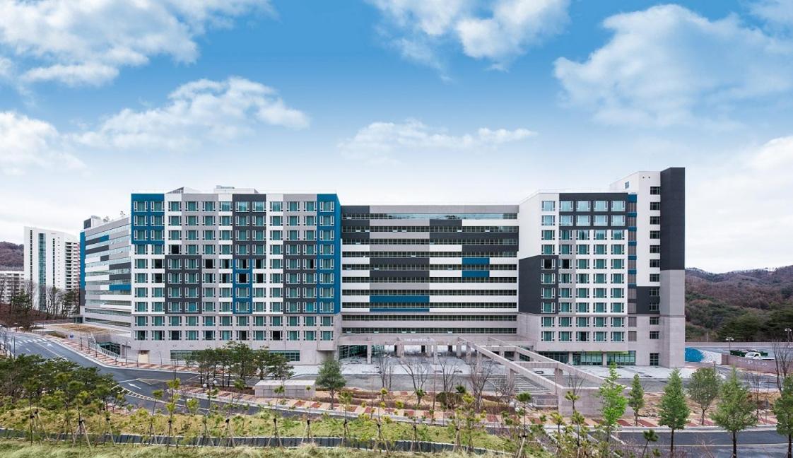 Pyeongchang The White Hotel エクステリア 写真